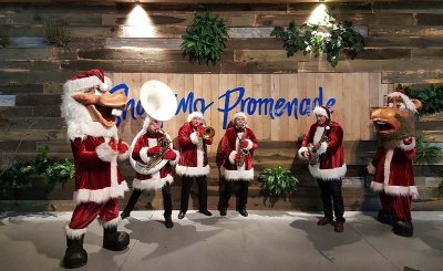 Plage - Baignade Les Grandes Dalles