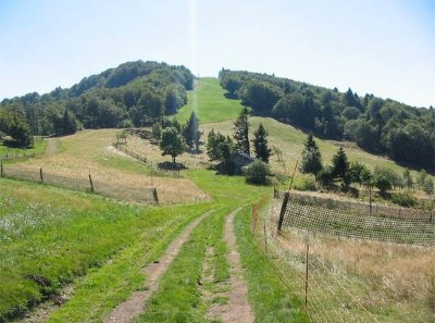 RANDONNÉE - LA RONDE DE LA FORET DOMANIALE DE