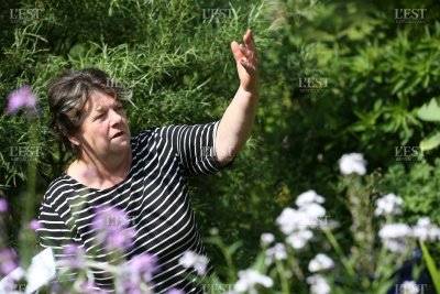 Jardin de méli-mélo