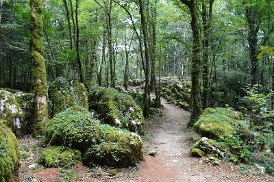 Sentier karstique du Grand Bois et grotte Maëva