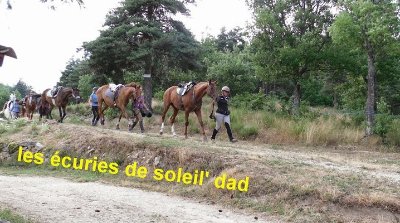 Les Écuries de Soleil'dad