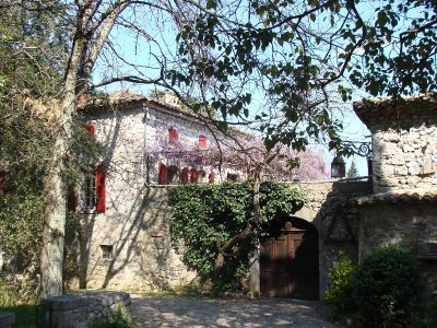 Mas Daudet  musée & parc