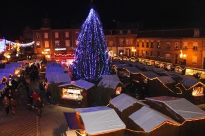 La vie intime des arbres