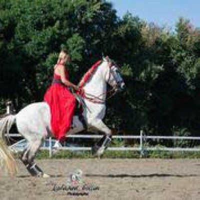 Les Ecuries d'Edoras
