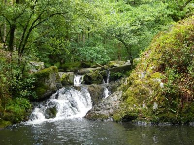 Parc naturel régional Normandie Maine