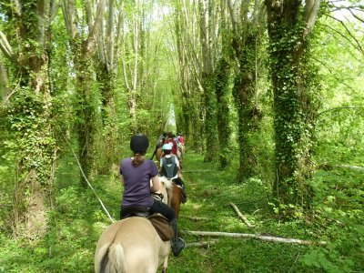 Centre équestre de Montmirel