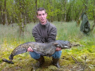 L'Etang de Lande-Forêt