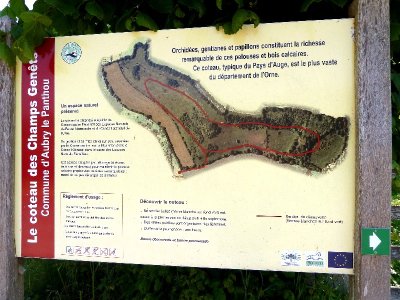 Le Coteau des Champs Genêts