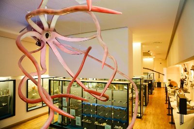 Muséum-Aquarium de Nancy