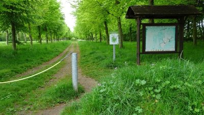 Sentier nature du bois des Amis de Jean Bosco