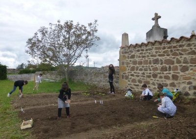 Sentier botanique de Bine