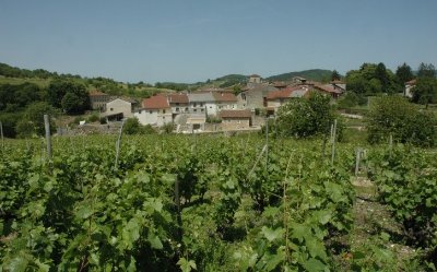 Mérignat, village viticole