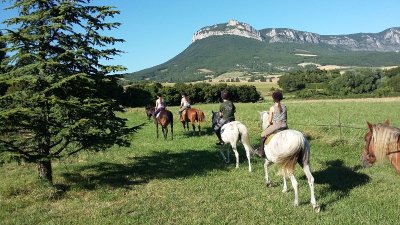 Equitation Les Crinières de Roche Colombe - Ferme équestre
