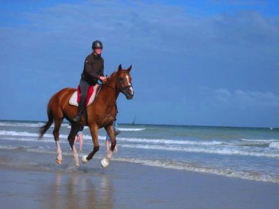 Centre Équestre de Ouistreham David AISSA