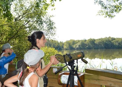 Réserve naturelle des Dunes et Marais d'Hourtin