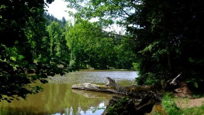 Arboretum Domanial de Pézanin