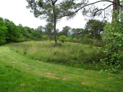 Le Jardin buissonnier