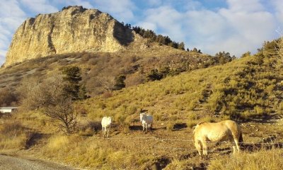 Centre équestre "Chez les Petits Lu"
