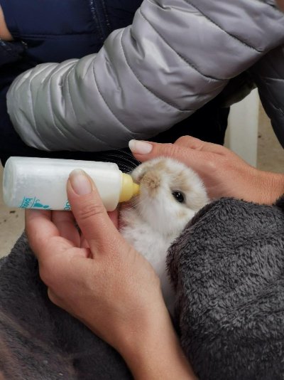 L'église Saint-Etienne - Parcours Beauvais