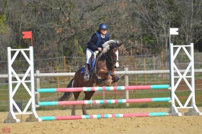 Centre Equestre L'Etrier de l'Uzège - Balade à cheval