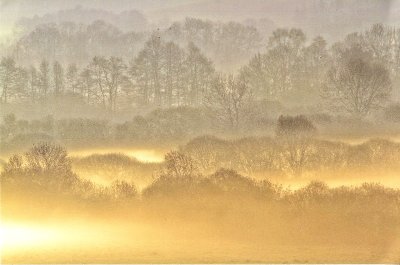 Le marais de la Vanne