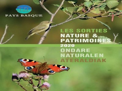 Saint-Jean-Pied-de-Port, retour vers le passé