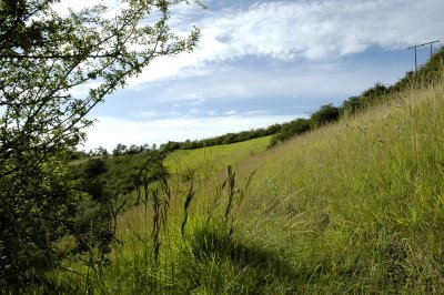 Longny-au-Perche - Petite Cité de Caractère
