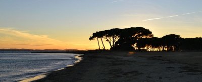 Sentier du littoral  : Plage Miramar / Les salins d'Hyères