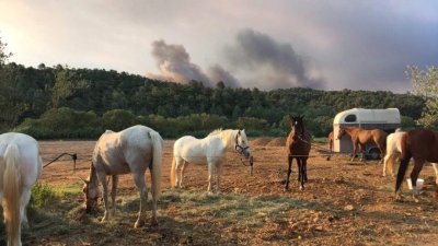 Domaine Équestre de la Sanglière - Pension de propriétaire