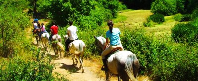Conservatoire d'équitation ancienne - Ecole de dressage