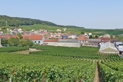 Sentier des Loges de Vigne
