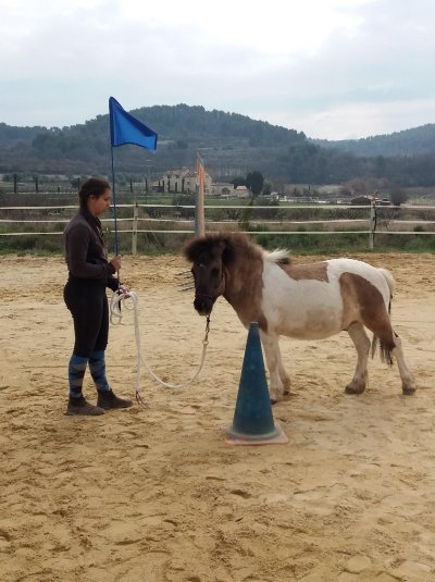 Ferme Équestre La Capeirone