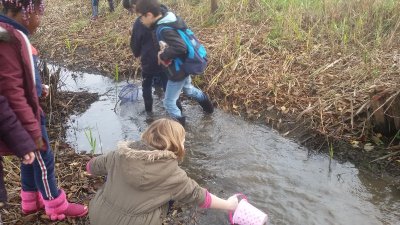 À l'aurore, les dessins - Nine Hauchard