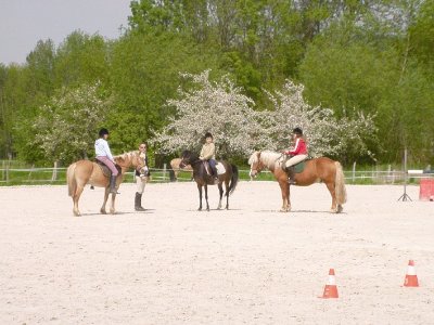 Les écurie de Thuisy