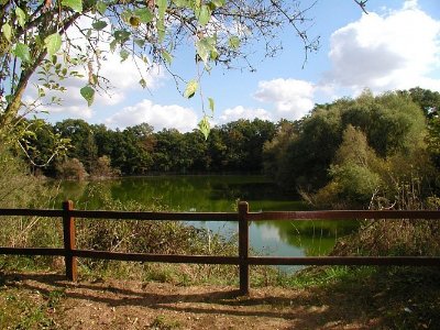 Le site de Lormandière