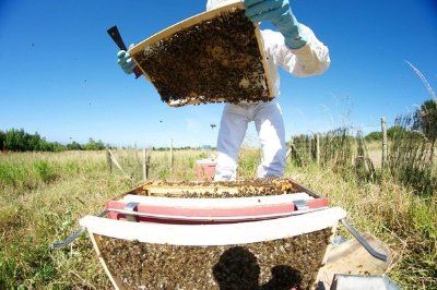 Les Atelières de la Reine