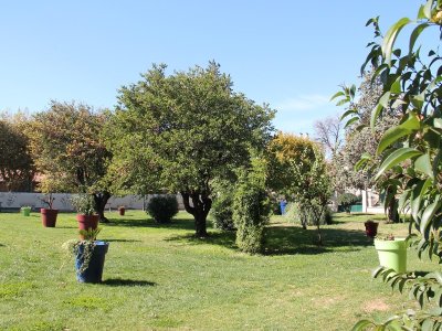 Jardin Salvador Dali