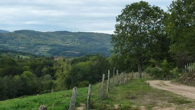 N°51 – La Grande Borne  - Espace VTT-FFC Massif des Bois Noirs