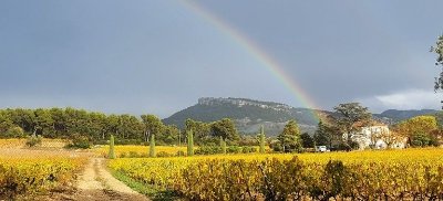 Villa Ariane Bibliothèque Municipale de Cassis