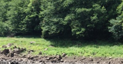 Eglise Notre-Dame de la Guérison d'Enchanet