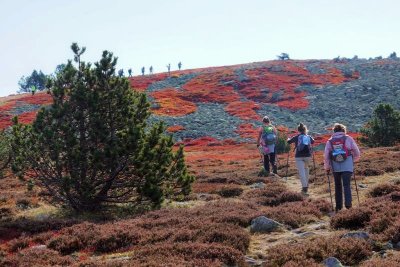CENTRE HISTORIQUE DE MARVEJOLS