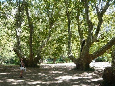 Jardin de Pétrarque