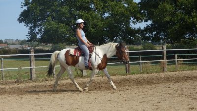 Les Écuries de Bel Air