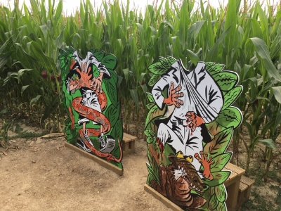 Labyrinthe du Thimerais