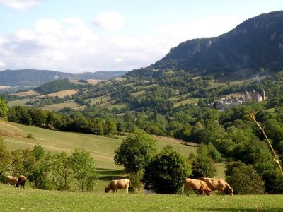 VALLON DE L'URUGNE