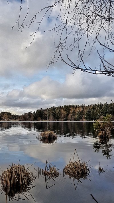 LAC DU MOULINET TOUT EN NATURE