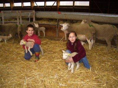 Ferme du Clos de l'Orme