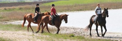 Centre équestre de la Loze