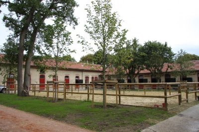 Haras des Brumes