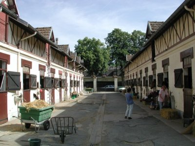 Écurie Craft Original